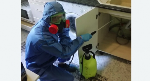 Уничтожение муравьев в квартире. Буденновск