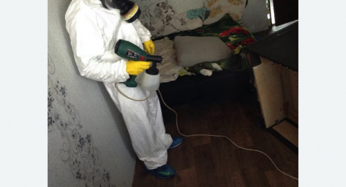 Обработка квартир от насекомых в Буденновске