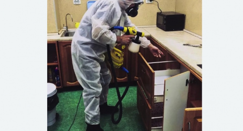 Дезинсекция квартиры. Буденновск