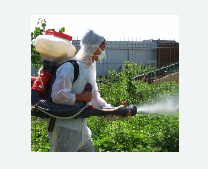 Акарицидная обработка территории в Буденновске