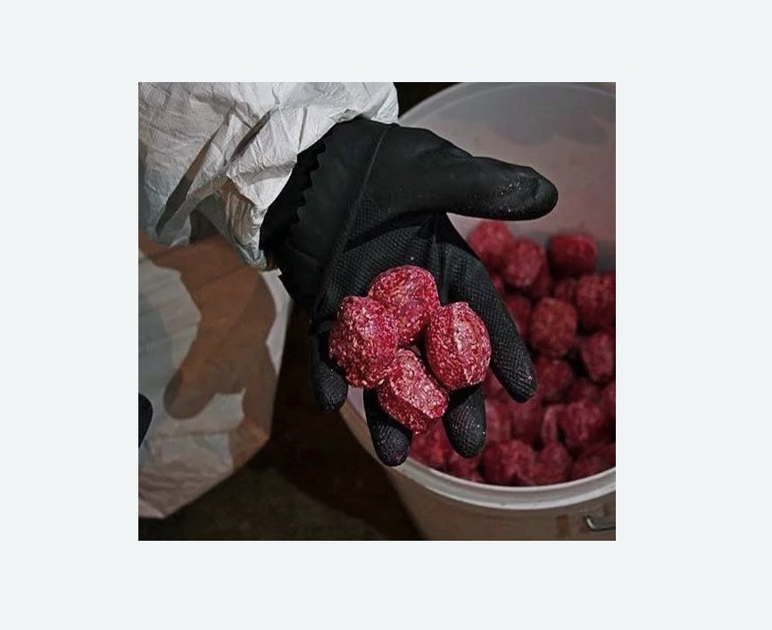 Обработка от крыс Обработка от крыс в Буденновске