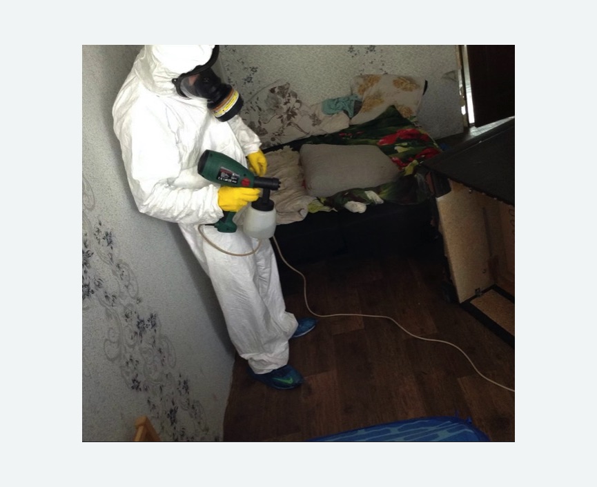 Обработка от насекомых в Буденновске Обработка квартиры от насекомых