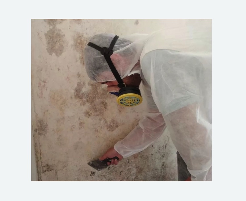 Обработка стен от плесени в Буденновске