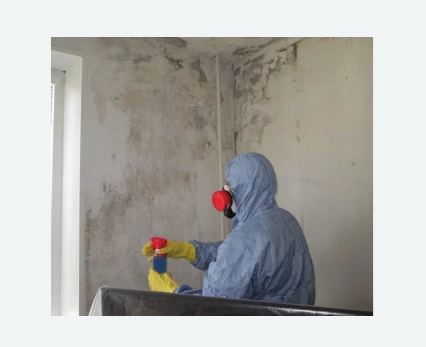 Удаление плесени в квартире в Буденновске