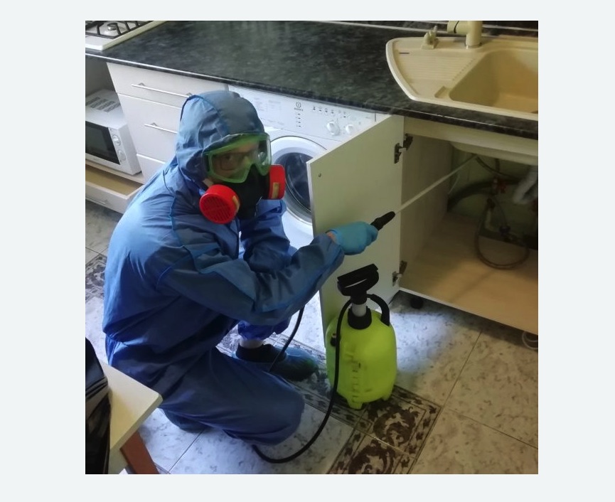 обработка от муравьев в квартире в Буденновске