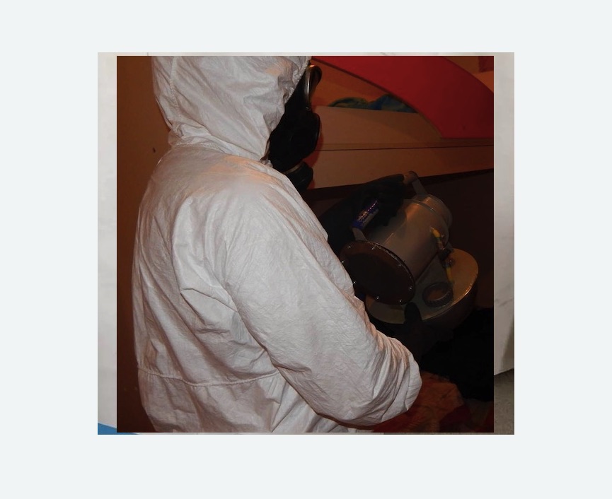 Дезинфекция от муравьев в Буденновске