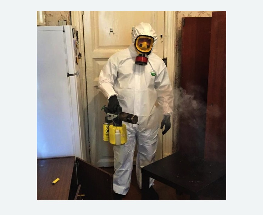 уничтожение муравьев в квартире в Буденновске